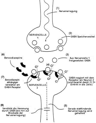 Abb 1.
